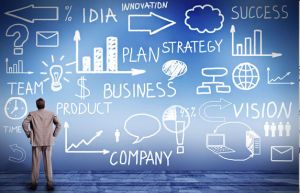 Business Development Strategist