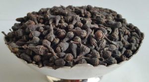 Nagkesar Seeds