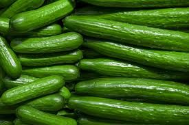 Fresh Cucumber