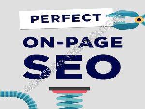 On Page SEO Services