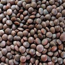 Black Masoor Dal