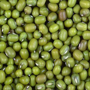 Polished Green Moong Dal