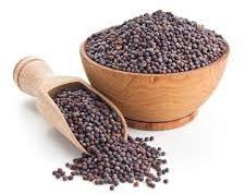 Organic Mustard Seeds