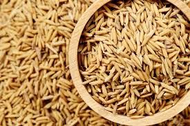 Organic Paddy Seeds