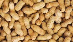 raw groundnuts