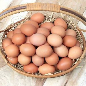 Brown Eggs