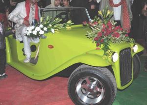 E Rikshaw DOLF CAR