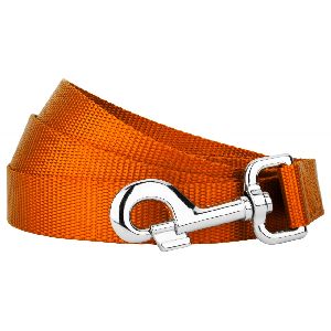 nylon dog leash