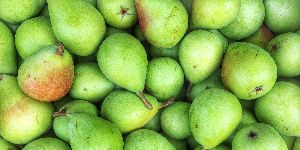 Fresh Green Pear