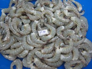 Raw Block Headless Shell On Vannamei Shrimps