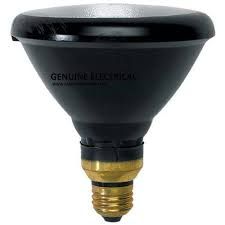 Electrical Lamps