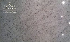 Chida White Granite Slab