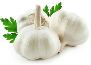 Organic Garlic