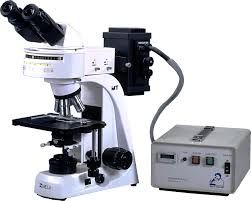 Fluorescence Microscope