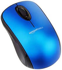 Computer Mouse