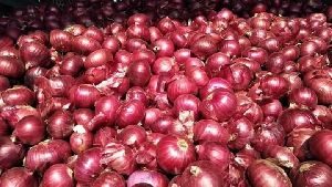 Onion