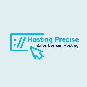 Hosting Precise, Web Hosting