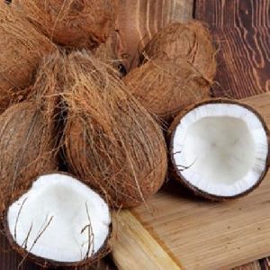 Brown Coconut