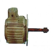 extended shaft motor