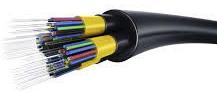 Fiber Cable