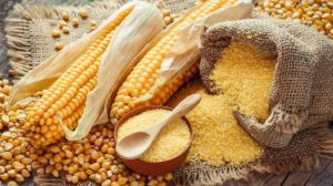 Yellow Maize Flour