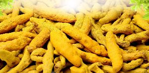 Natural Turmeric Finger