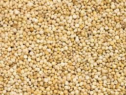 Quinoa Seeds