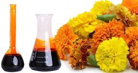 Marigold Oleoresin Extract