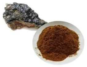 Shilajit Extract