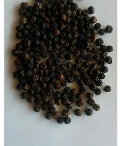 Bold Black Pepper Seeds