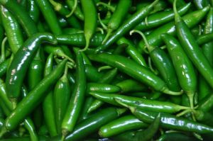 Organic Green Chilli