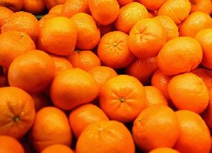Fresh Natural Orange