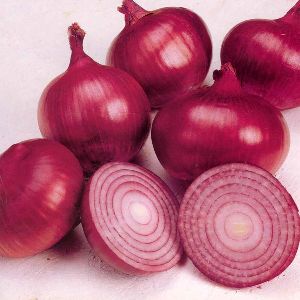 Fresh Natural Red Onion