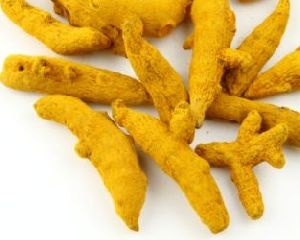 Polished Turmeric Finger