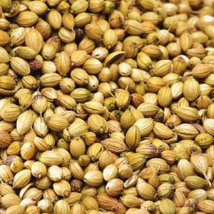 Raw Coriander Seeds