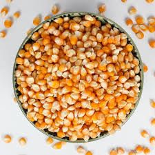 Raw Maize Seeds