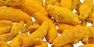 Raw Turmeric Finger