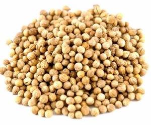 Whole Coriander Seeds