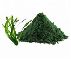 Pure Spirulina Powder