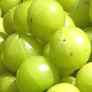 fresh green amla