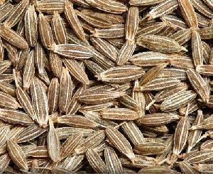 Cumin Seeds