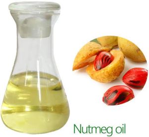 Nutmeg Oil