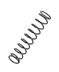 SS Helical Spring