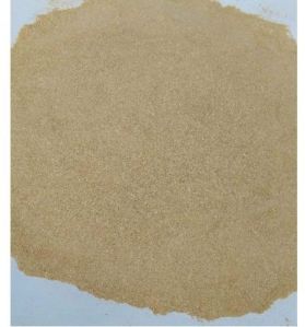 Dried Mushroom Powder