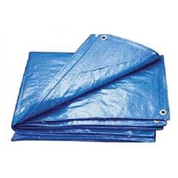 Plastic Tarpaulin