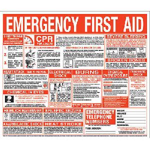 first aid chart