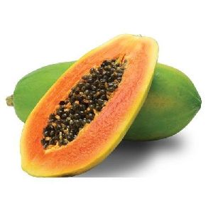 papaya leaf extract