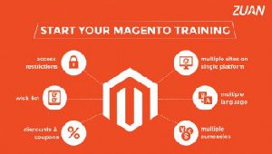 magento training course in chennai