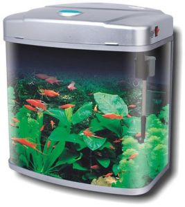 aquarium tank