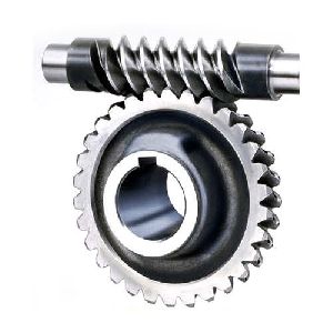 Worm Gear